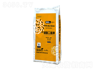 5kg-ŵ-Ѹ